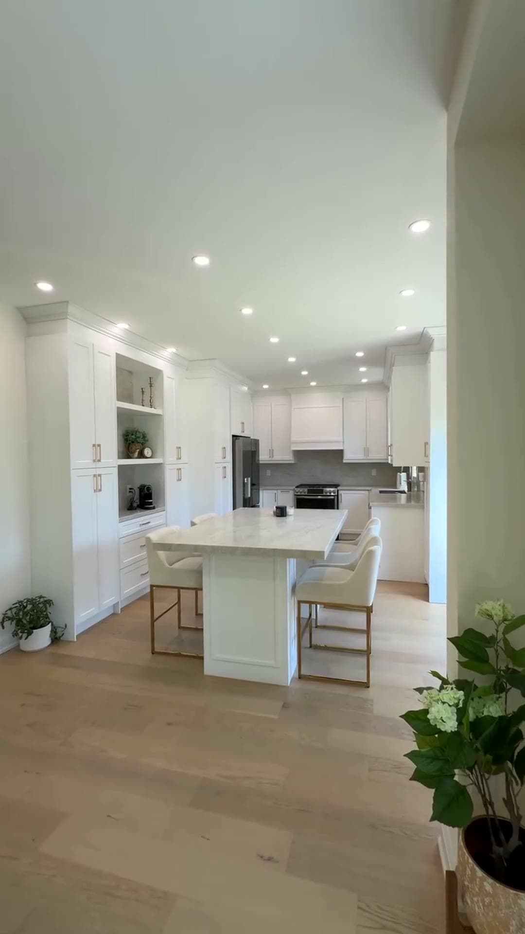 Full House Renovation