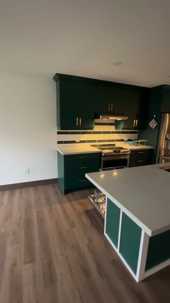 Full House Renovation project 10